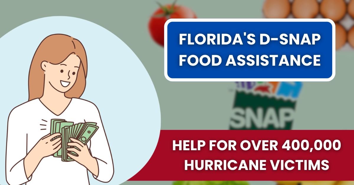 Florida's D-SNAP Food Assistance: Help for Over 400,000 Hurricane Victims